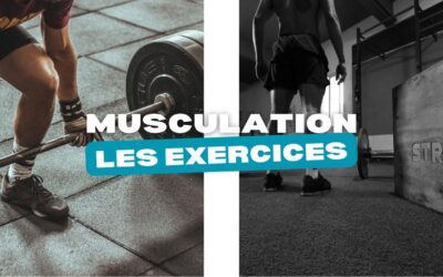 Musculation : quelques exercices pour muscler certaines parties de votre corps