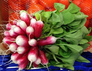 potager-2
