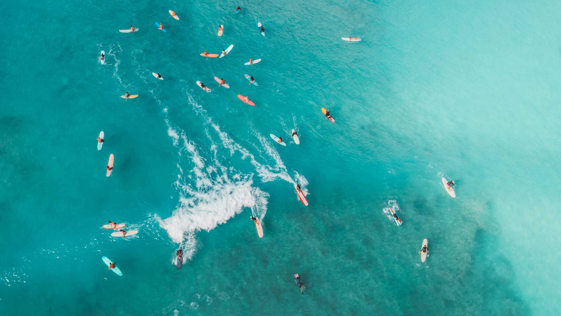 Surfeurs