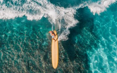 Les films de surf incontournables : De « Point Break » à « The Endless Summer »